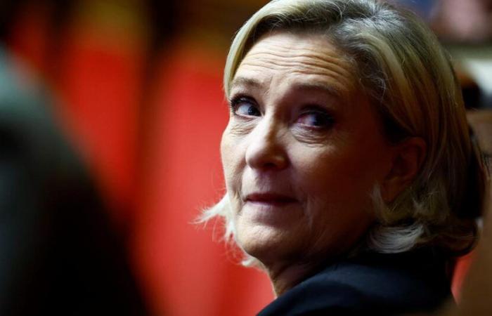 Marine Le Pen expected this Sunday in Mayotte