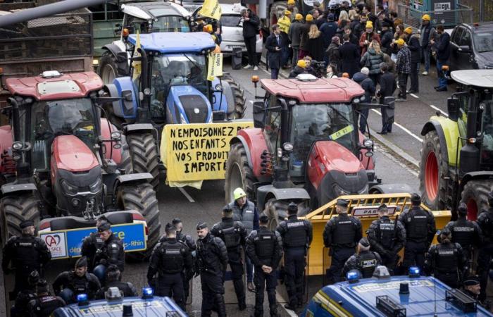 Paris, Rungis or Lyon blocked by farmers this Monday?