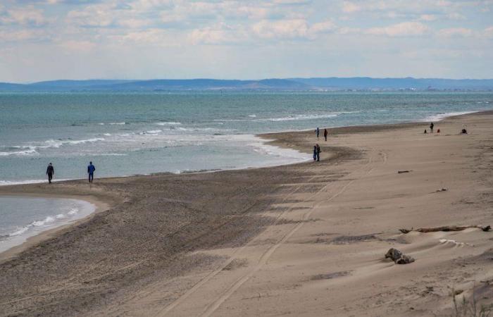 The Gard on yellow “wave-submersion” vigilance on the coast from this Sunday midnight