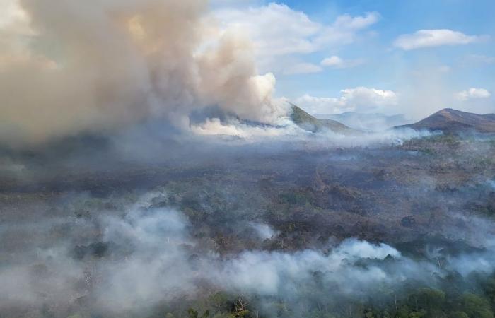 Fire in the Prony plain: the fire is under control