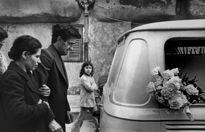 discover the Sicilian photographer and activist who challenged the Mafia through her lens