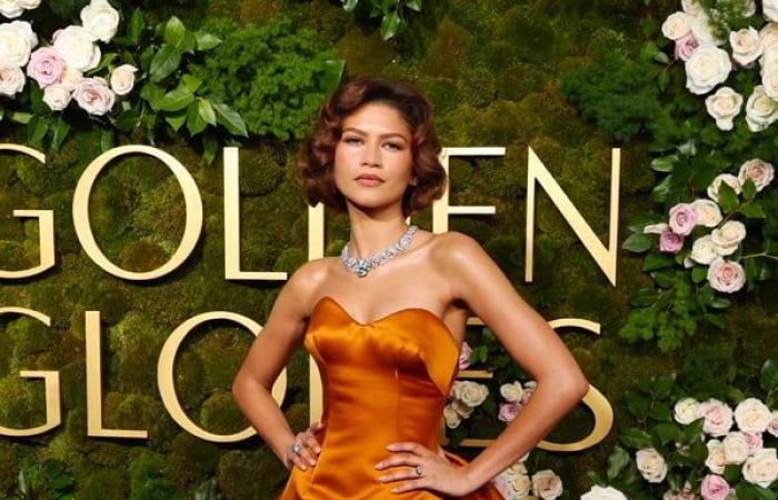 the best celebrity looks with Zendaya