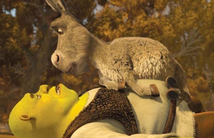 Perry, the donkey who inspired Shrek’s, is dead: “He suffered a lot”