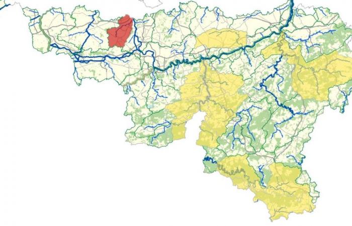 Now 13 rivers in flood pre-alert and one in alert phase this Monday January 6 in Wallonia: the SPW advises protecting your homes