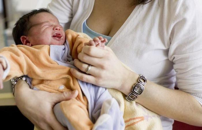 Italy seeks to boost the birth rate, which has been in decline for more than thirty years – rts.ch