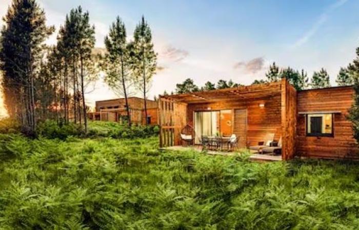 Center Parcs starts 2025 strong with many discounted stays