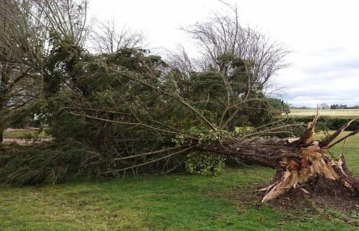 MONITORING the Floriane depression in France: up to 122 km/h in Fécamp