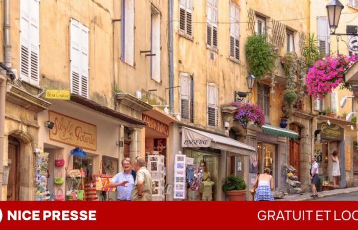 Real estate market prices in Grasse as of January 1, 2025