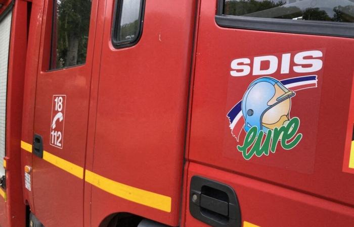 adults, children and animals evacuated after a fire in a building