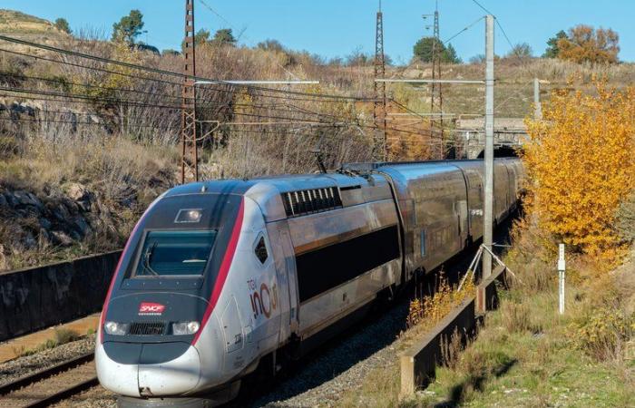 A fraud worth nearly 700 million euros per year: from Wednesday, and to ensure that the fine will be paid, the SNCF and the RATP will be able to check the addresses of the offenders