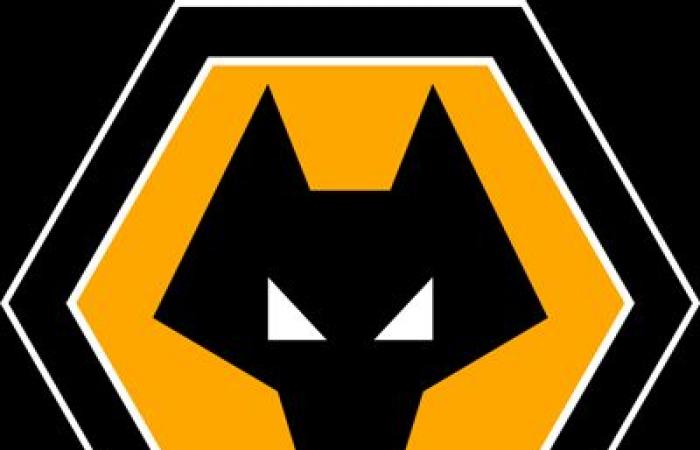 WOLVES / NOTTINGHAM FOREST Odds prediction result ⚽️ January 6, 2025