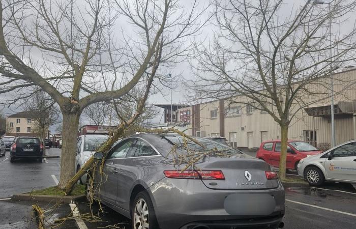 4,300 homes still without electricity in Champagne-Ardenne