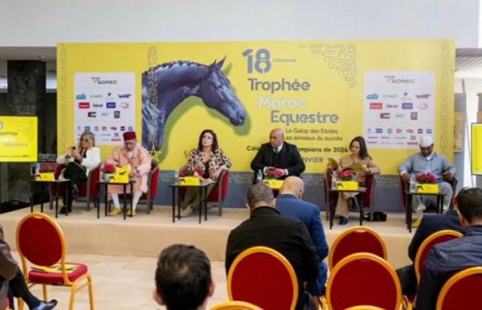 The 18th Morocco Equestrian Trophy, a celebration of the best Moroccan riders – Today Morocco