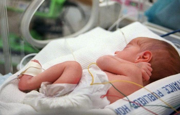 Since January 1, 2025, newborns now belong to the Beta generation