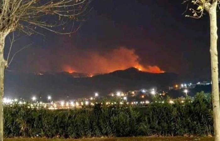 Tetouan: Moklata forest fire brought under control