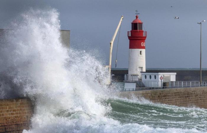 three eastern departments on orange alert for winds, SNCF traffic is disrupted