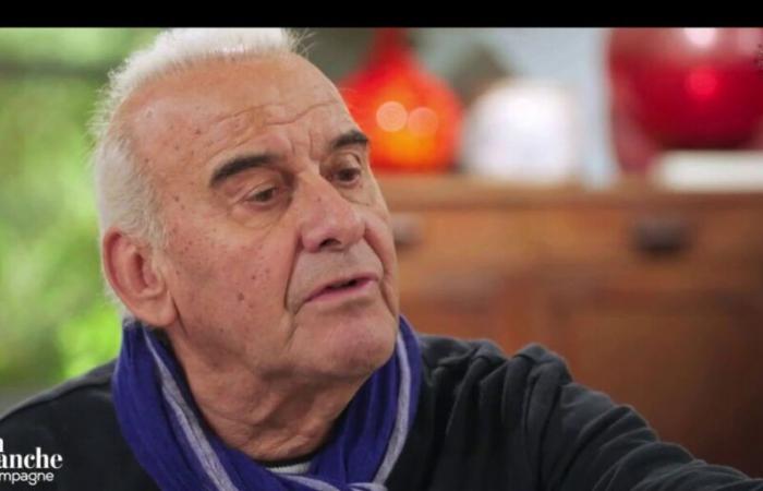 Michel Fugain very upset against Johnny Hallyday, a “stupid” according to him (ZAPTV)