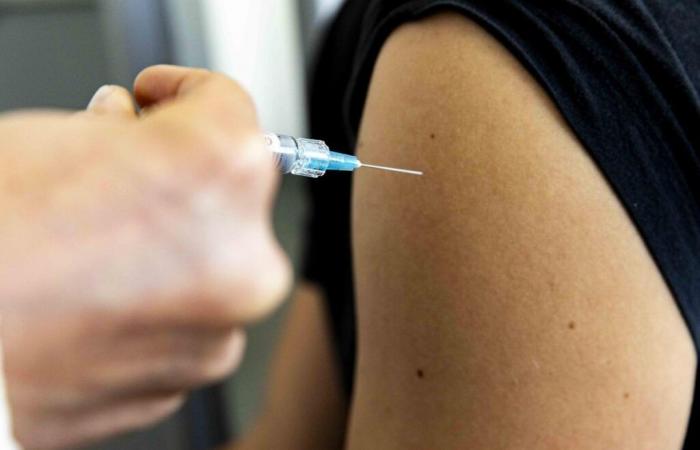 Health: in the Pyrénées-Atlantiques as everywhere in France, the flu epidemic is taking hold