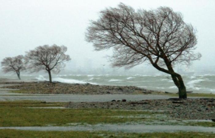 MONITORING depression Floriane in France: strong winds reach central regions and weaken elsewhere