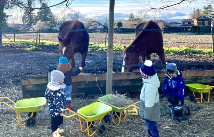 In Veyrier, children attend school on the farm