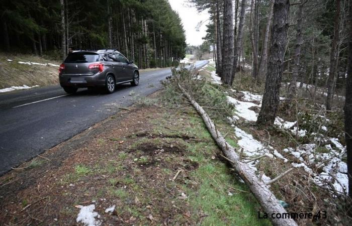 Wind gusts greater than 100 or even 110 km/h in Haute-Loire