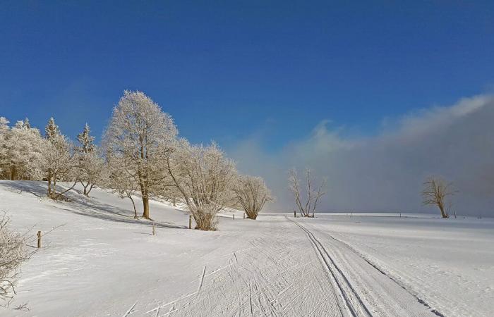 Neuchâtel cross-country skiing breathes better since this white Christmas