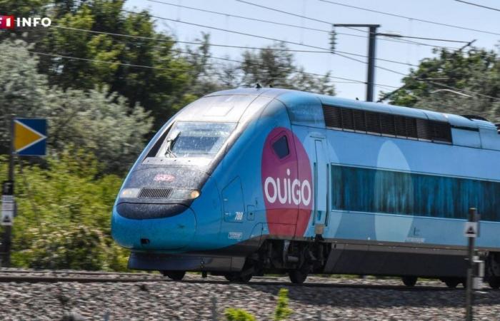 48 hours to take advantage of one of the 300,000 Ouigo train tickets at “frozen prices”