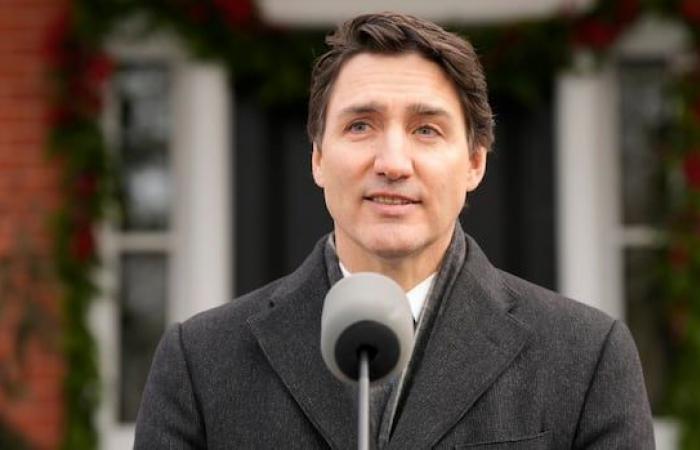 Trudeau says he’s not the right choice to run in the next election, promises to resign as PM