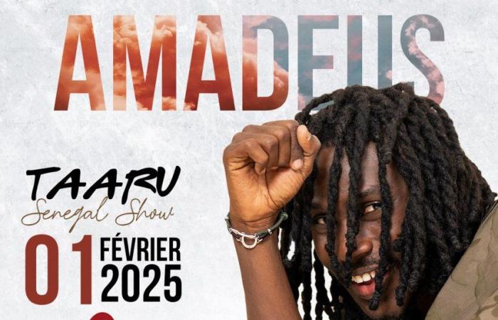 Amadeus and concert : Taaru Sénégal Show