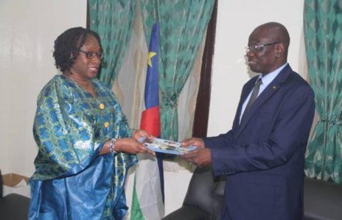 Central African Republic: Burkinabè Dr Irène Ouoba takes office in Bangui as FAO representative