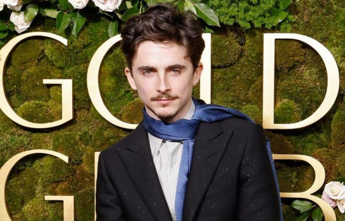 Timothée Chalamet wears the first ever Tom Ford suit by Haider Ackermann at the 2025 Golden Globes