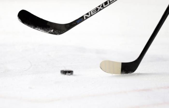 A referee attacked during a hockey match between the Espoirs of Grenoble and Cergy