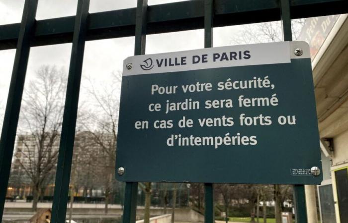 Strong winds in Paris: parks are closed this Monday, January 6