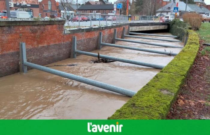 Flood alerts in Walloon Brabant: the Senne has risen by more than two meters in Tubize and Rebecq; the Dyle swelled by a meter in Wavre