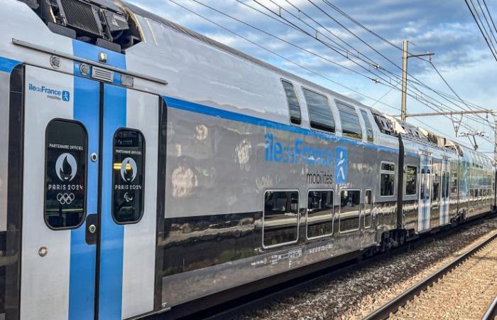 Storm Floriane in Île-de-France: disruptions announced on the RER and Transilien