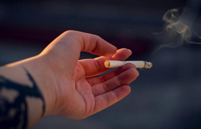 A single cigarette costs 20 minutes of life expectancy on average