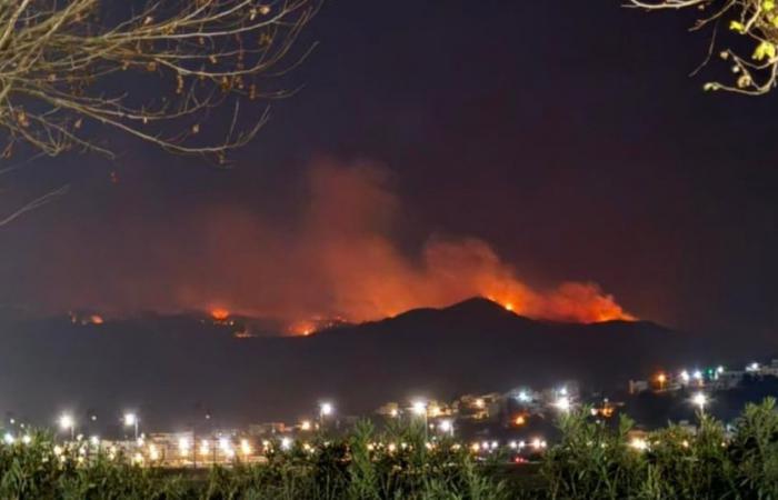 A fire ravages more than 100 hectares of forest near Tetouan