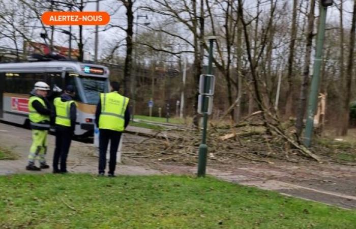 Storm Floriane crosses Belgium: yellow wind alert extended for all provinces, injuries reported