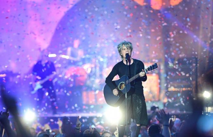 Indochine, Soprano, Pony Club, Rose Festival… Concerts and shows not to be missed in 2025 in Toulouse