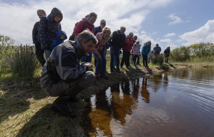 In this Cotentin town, the Nature Festival takes place at the end of May