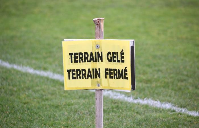 the use of football and rugby fields prohibited in the Amiens metropolitan area in order to “maintain the lawns”