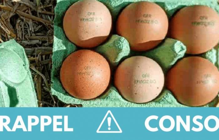 Salmonella: do not eat these boxes of six contaminated eggs