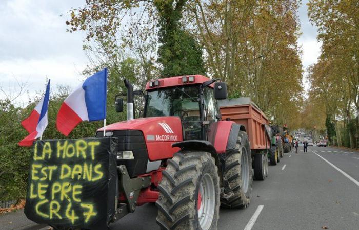 DIRECT. Will farmers succeed in “going to Paris”? Rural Coordination tries to put pressure on the Bayrou government