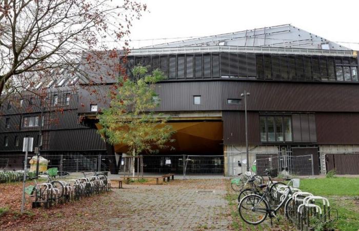 Students block Sciences Po Strasbourg to denounce a partnership with an Israeli university