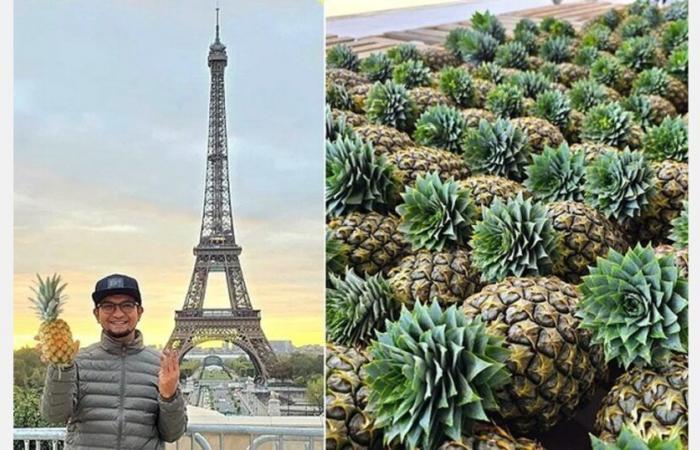 Malaysia increases pineapple exports to France and New Zealand