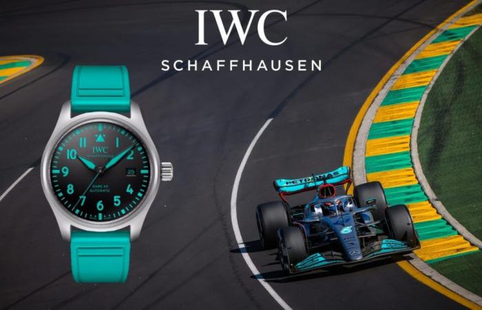 an F1 watch at €6,600 that doesn't please everyone