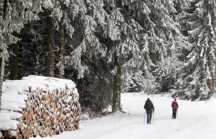 Heavy snow brings disruption across Europe, US braces for heavy snow