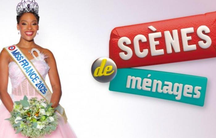 Miss France, Angélique Angarni Filopon, in “Scenes of households” on M6