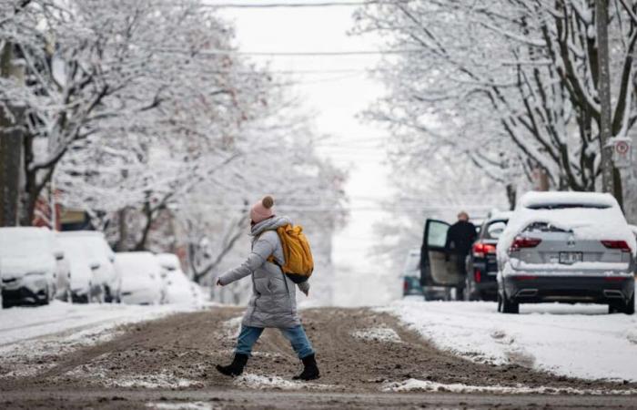 Sun and chills or snow showers: here is the weather forecast for Monday in Quebec