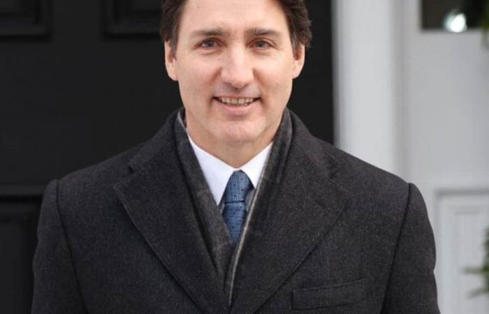 Liberal Party leadership race: here are 7 potential successors to Justin Trudeau